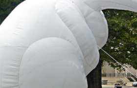 Funky White Rabbits Intrude On Big Spring Park