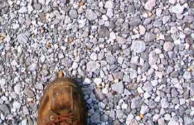 The shoe drops