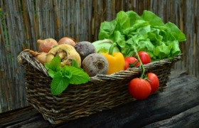 CRISPR vegetation
