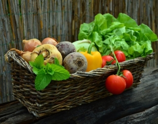 CRISPR vegetation