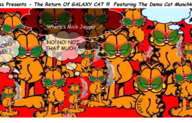 The Demo Cat Munchkins