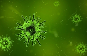 Corona Virus Pandemic