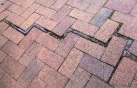 These roots aren't twisted at all ... in fact they are neatly squared away.