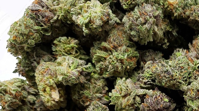cherry cola weed, colour weed, bulk buddy, buy weed online, buy weed canada, bulk buddy dispensary