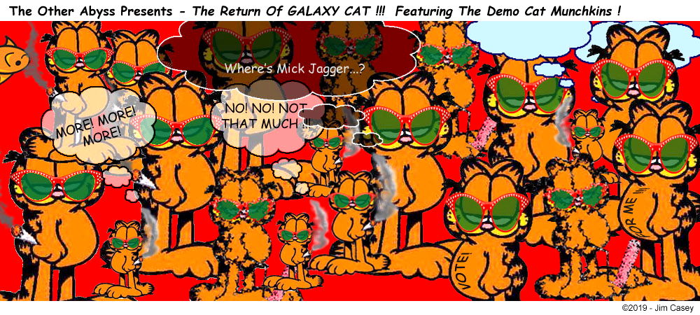 The Demo Cat Munchkins